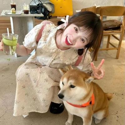 黑暗复仇者